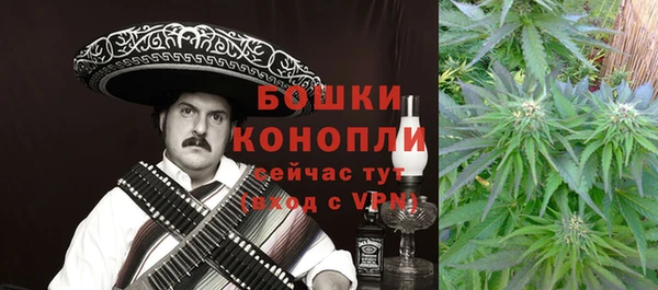 стаф Арсеньев